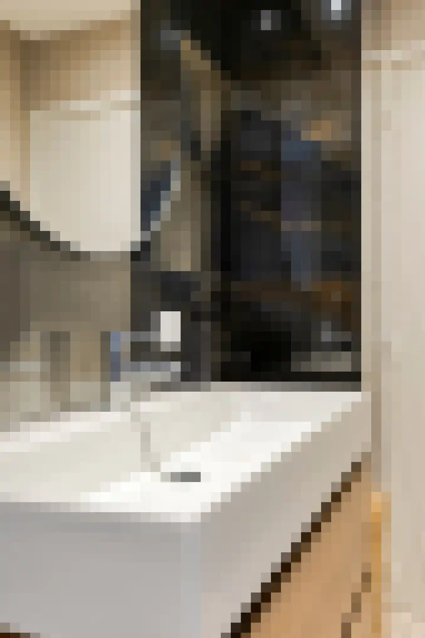 Boerhaavelaan 73 Helmond thumbnail 21