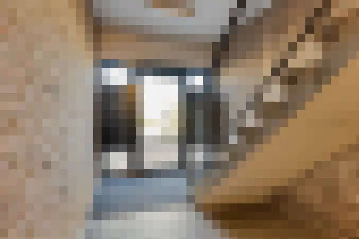 Boerhaavelaan 73 Helmond thumbnail 6