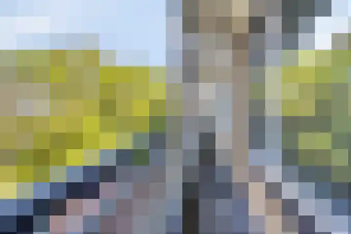 Boerhaavelaan 73 Leiden thumbnail 10