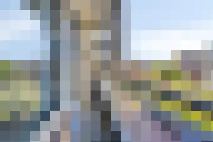 Boerhaavelaan 73 Leiden thumbnail 4