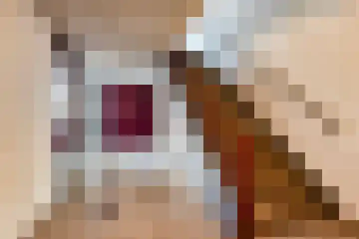 Boerhaavelaan 73 Leiden thumbnail 6