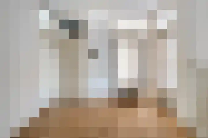 Boerhaavelaan 73 Leiden thumbnail 8