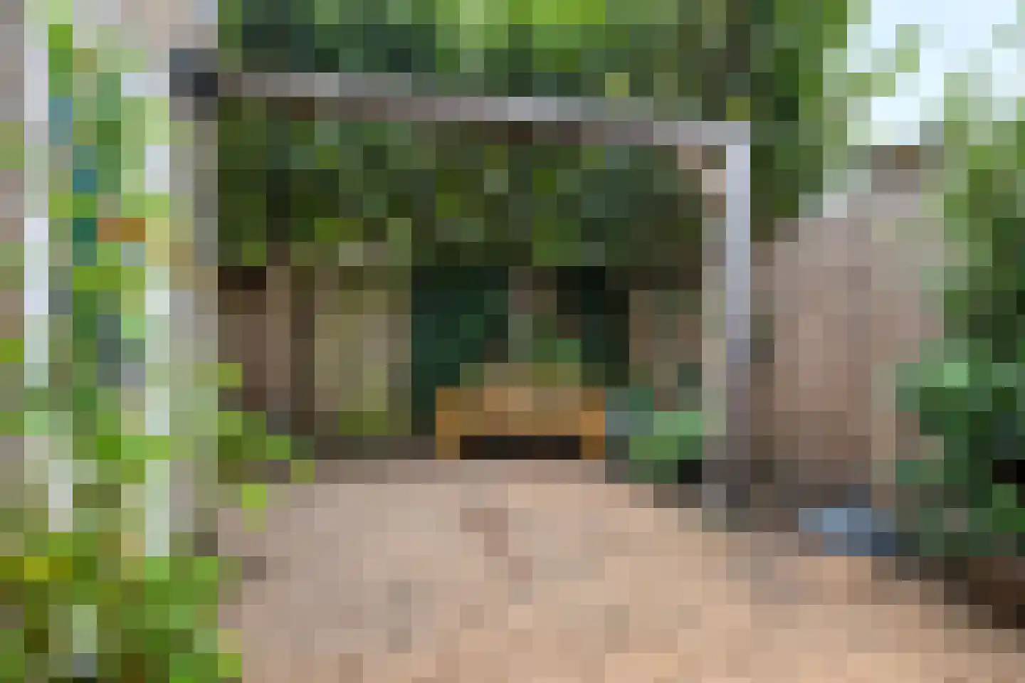 Boerhaavelaan 75 Eerbeek thumbnail 38