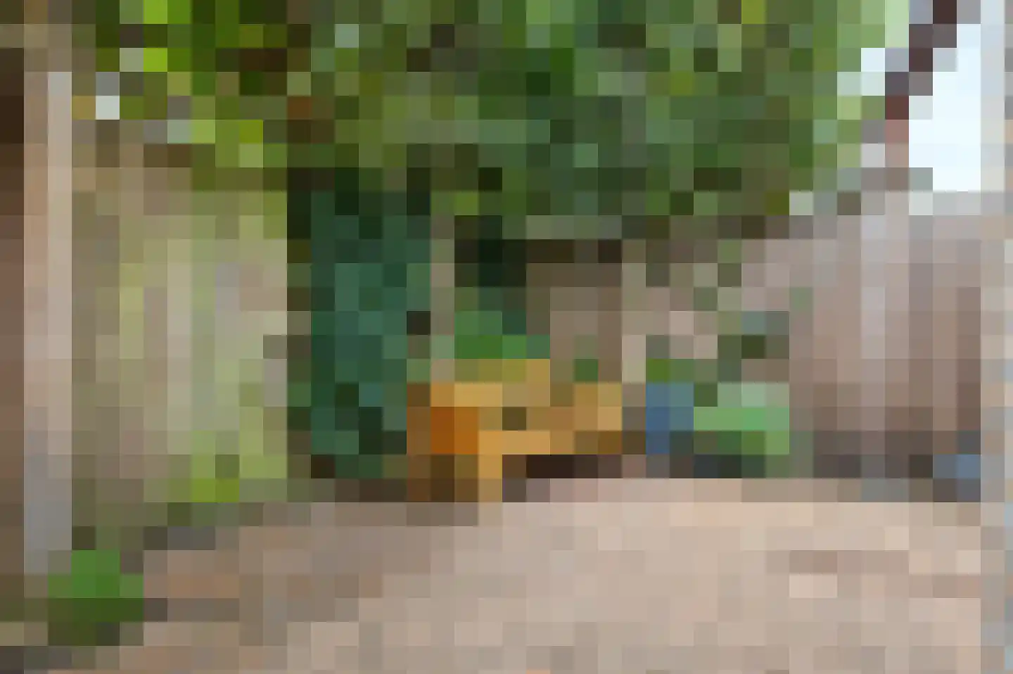 Boerhaavelaan 75 Eerbeek thumbnail 39