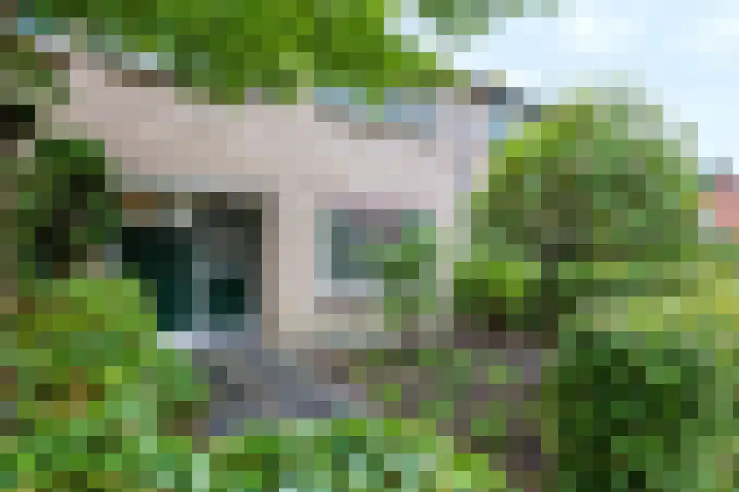 Boerhaavelaan 75 Eerbeek thumbnail 7