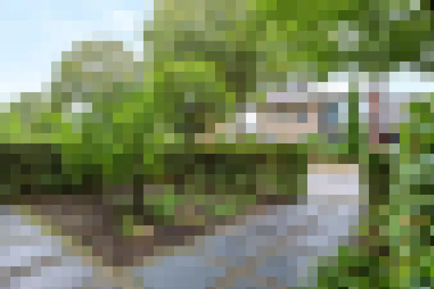 Boerhaavelaan 75 Eerbeek thumbnail 9