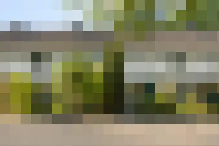 Boerhaavelaan 78 in Doetinchem