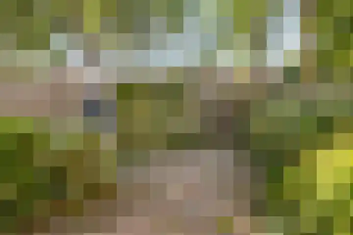 Boerhaavelaan 78 Doetinchem thumbnail 32