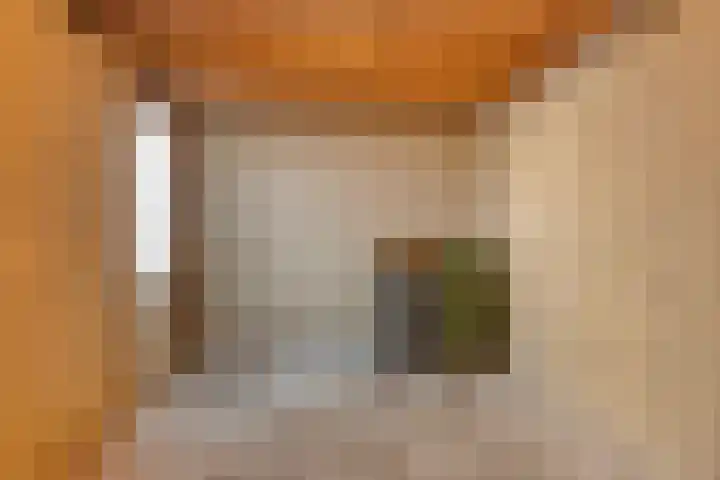 Boerhaavelaan 78 Doetinchem thumbnail 35