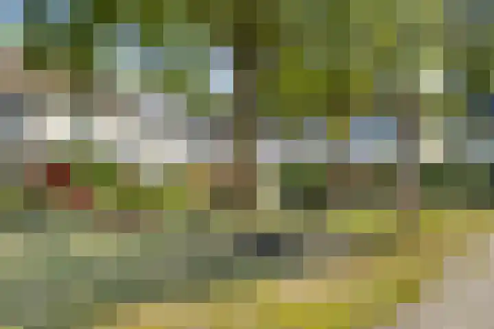 Boerhaavelaan 78 Doetinchem thumbnail 36