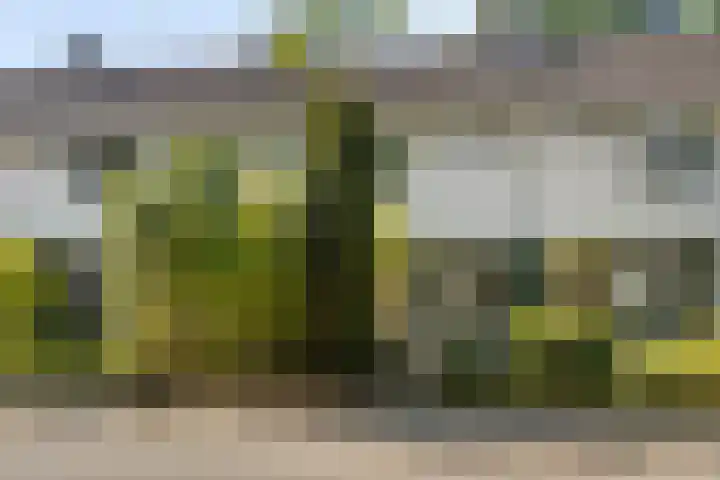 Boerhaavelaan 78 Doetinchem thumbnail 38