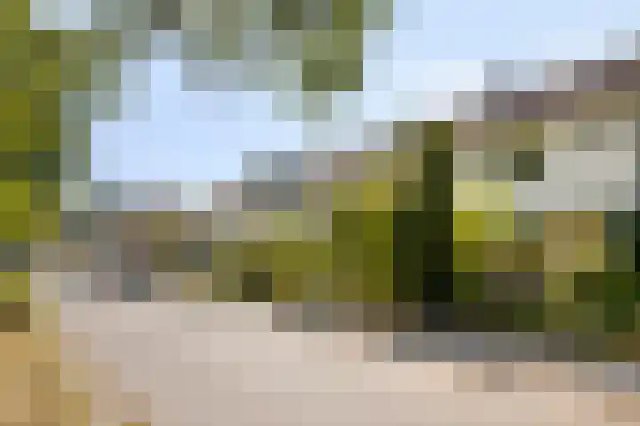 Boerhaavelaan 78 Doetinchem thumbnail 39