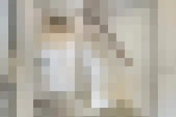 Boerhaavelaan 78 Doetinchem thumbnail 7
