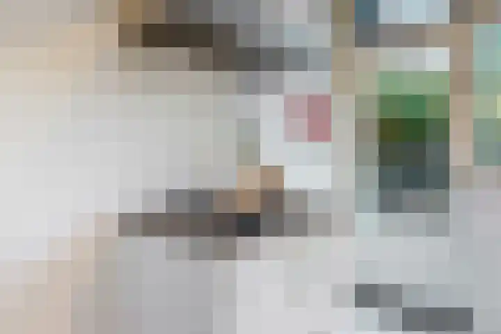 Boerhaavelaan 78 Utrecht thumbnail 10