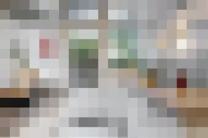 Boerhaavelaan 78 Utrecht thumbnail 11