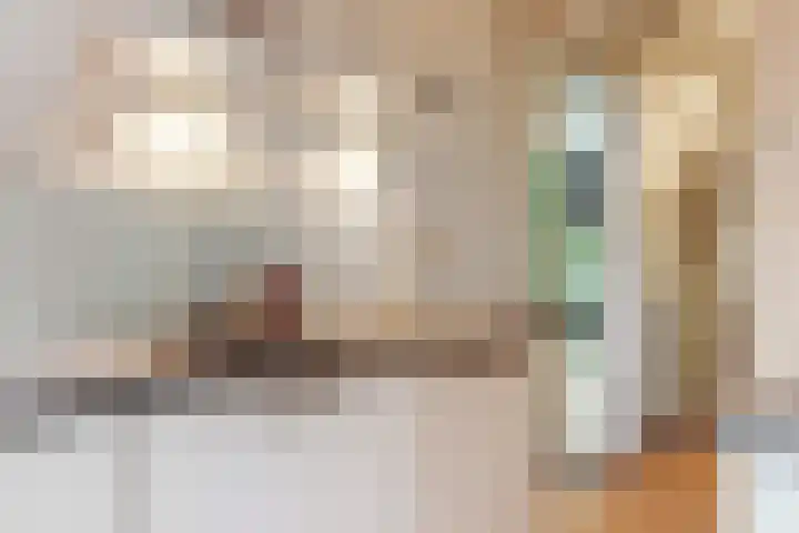 Boerhaavelaan 78 Utrecht thumbnail 12