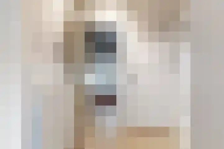 Boerhaavelaan 78 Utrecht thumbnail 13