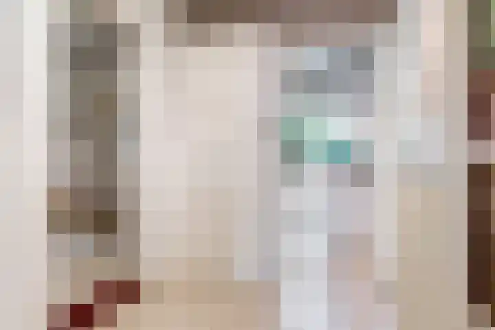 Boerhaavelaan 78 Utrecht thumbnail 16