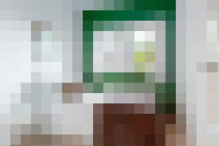 Boerhaavelaan 78 Utrecht thumbnail 20