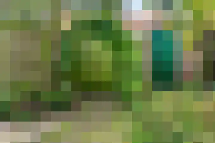 Boerhaavelaan 78 Utrecht thumbnail 22