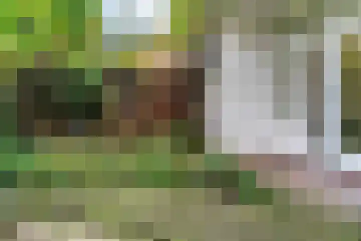 Boerhaavelaan 78 Utrecht thumbnail 24