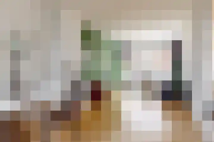 Boerhaavelaan 78 Utrecht thumbnail 4