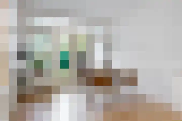 Boerhaavelaan 78 Utrecht thumbnail 9