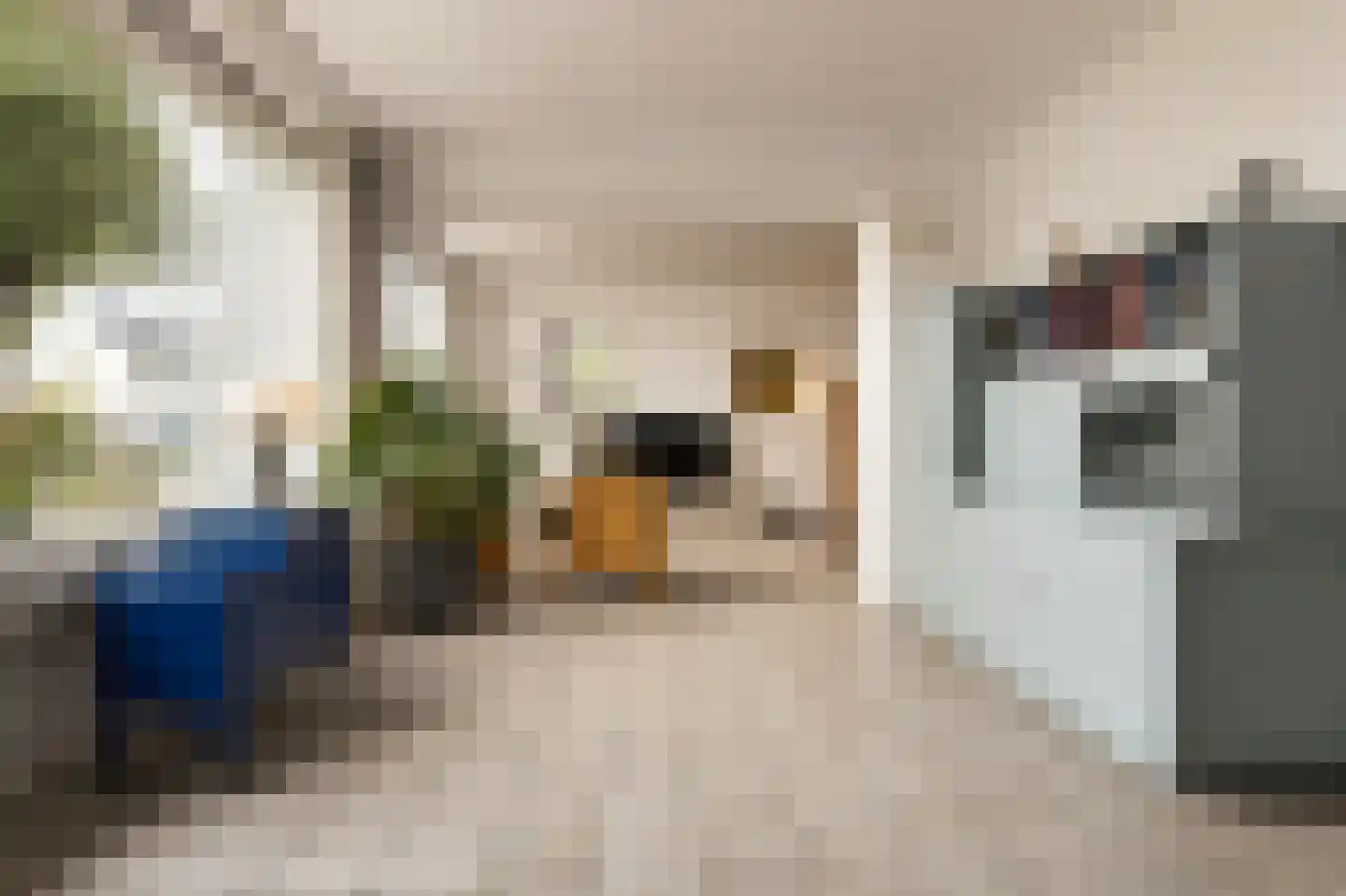 Boerhaavelaan 8 Helmond thumbnail 12