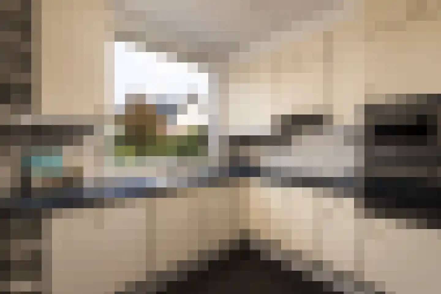 Boerhaavelaan 8 Helmond thumbnail 21