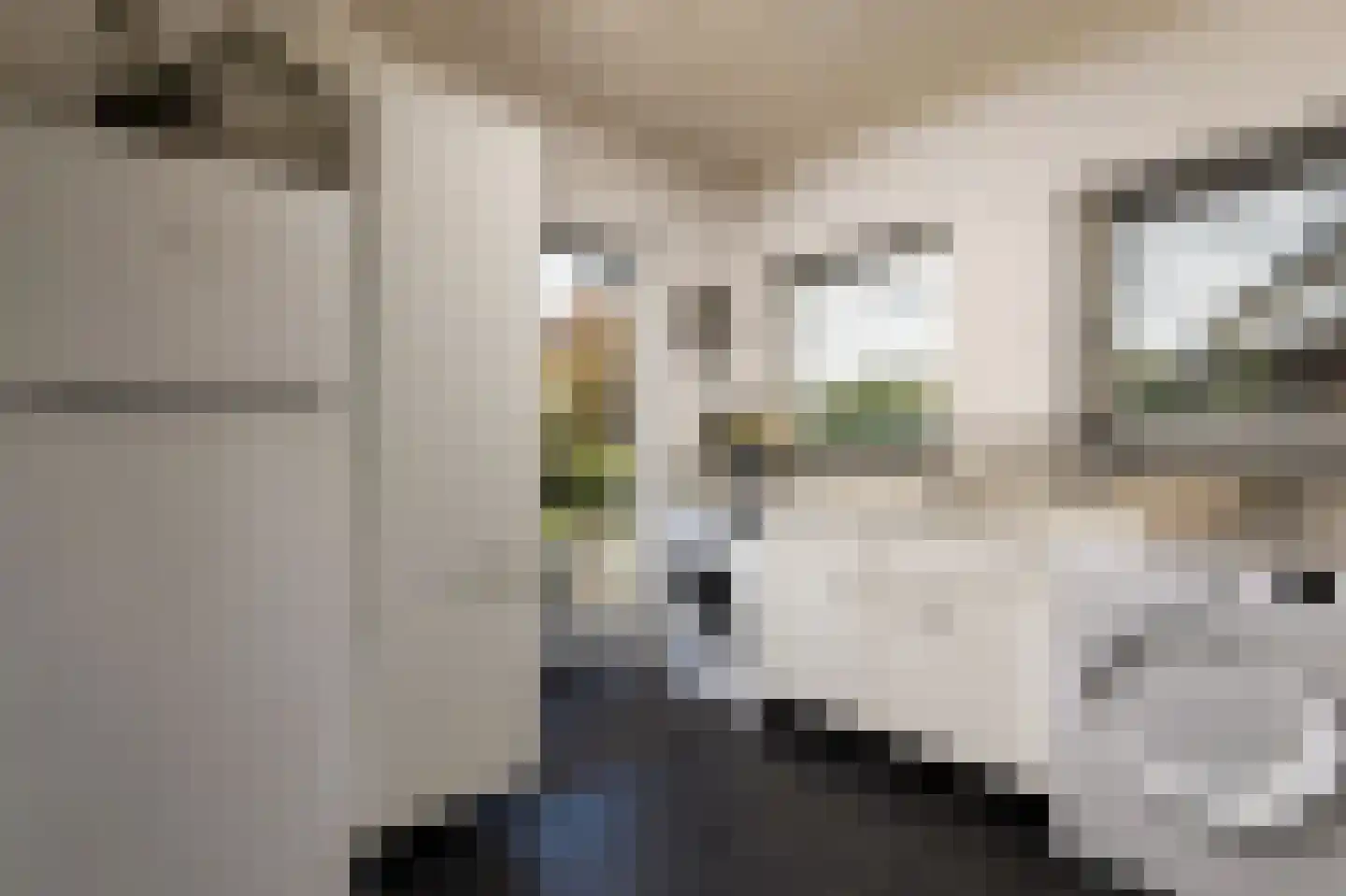 Boerhaavelaan 8 Helmond thumbnail 23