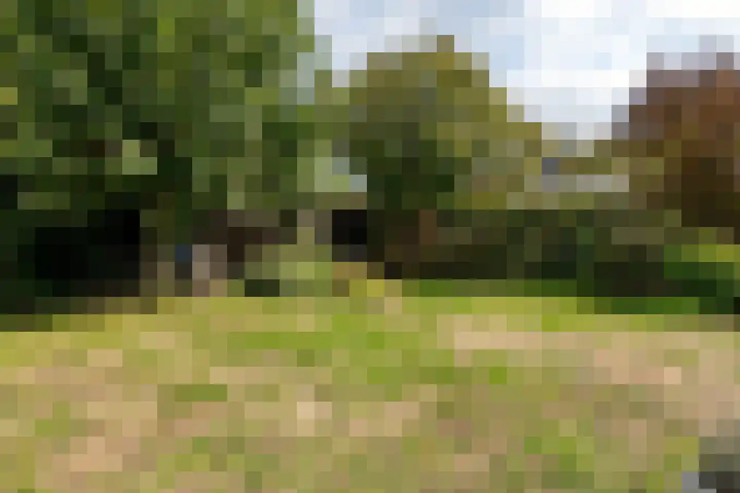 Boerhaavelaan 8 Helmond thumbnail 25
