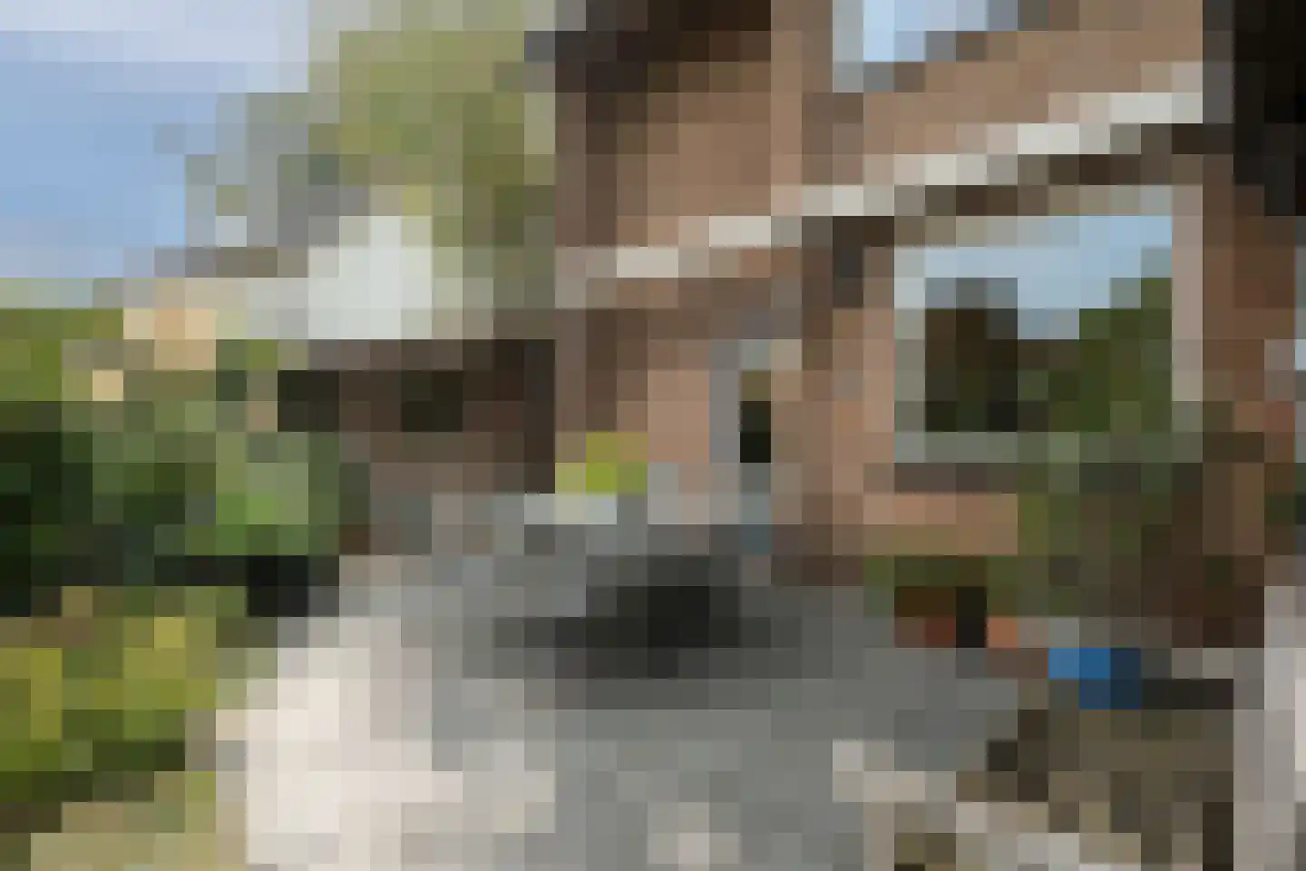 Boerhaavelaan 8 Helmond thumbnail 26