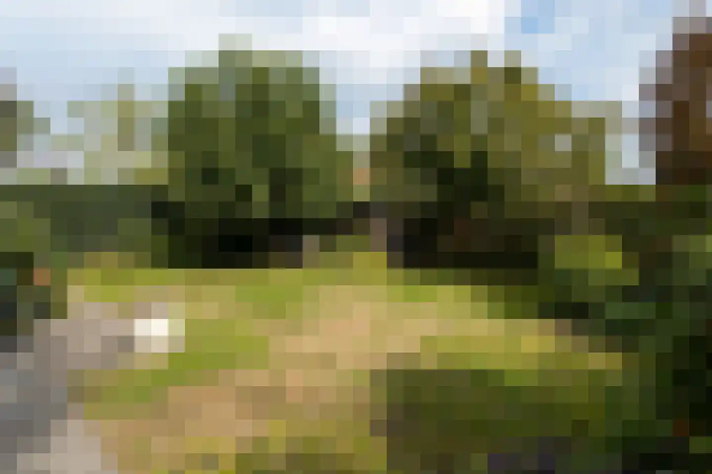 Boerhaavelaan 8 Helmond thumbnail 32