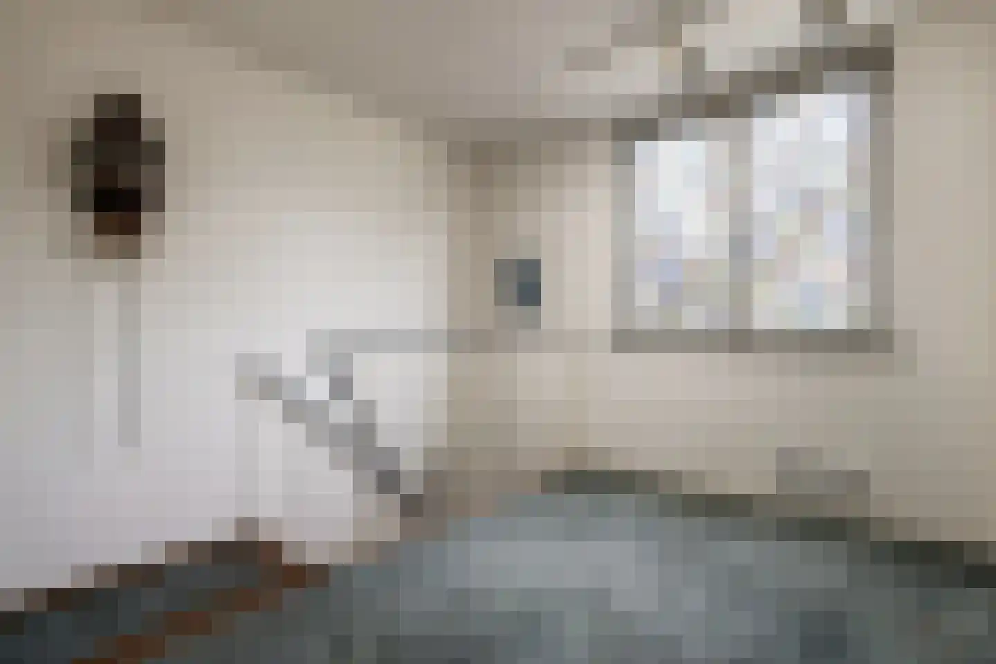 Boerhaavelaan 8 Helmond thumbnail 36