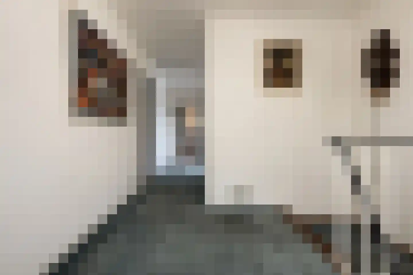 Boerhaavelaan 8 Helmond thumbnail 37