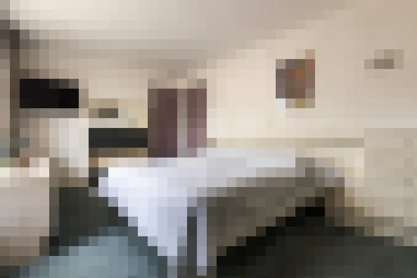 Boerhaavelaan 8 Helmond thumbnail 39
