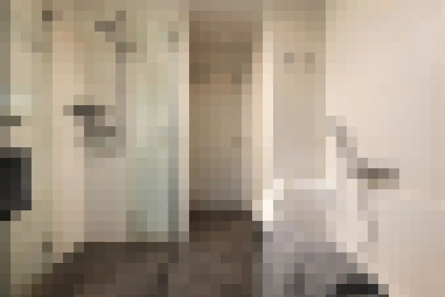 Boerhaavelaan 8 Helmond thumbnail 43