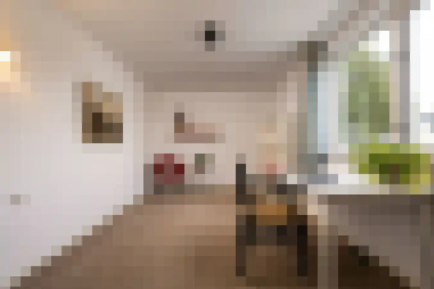 Boerhaavelaan 8 Helmond thumbnail 45