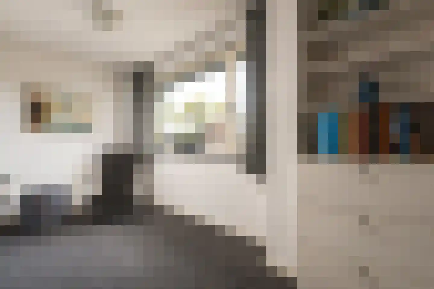 Boerhaavelaan 8 Helmond thumbnail 46
