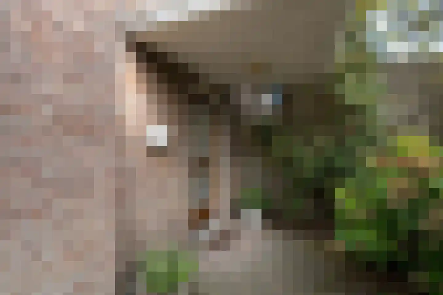 Boerhaavelaan 8 Helmond thumbnail 7