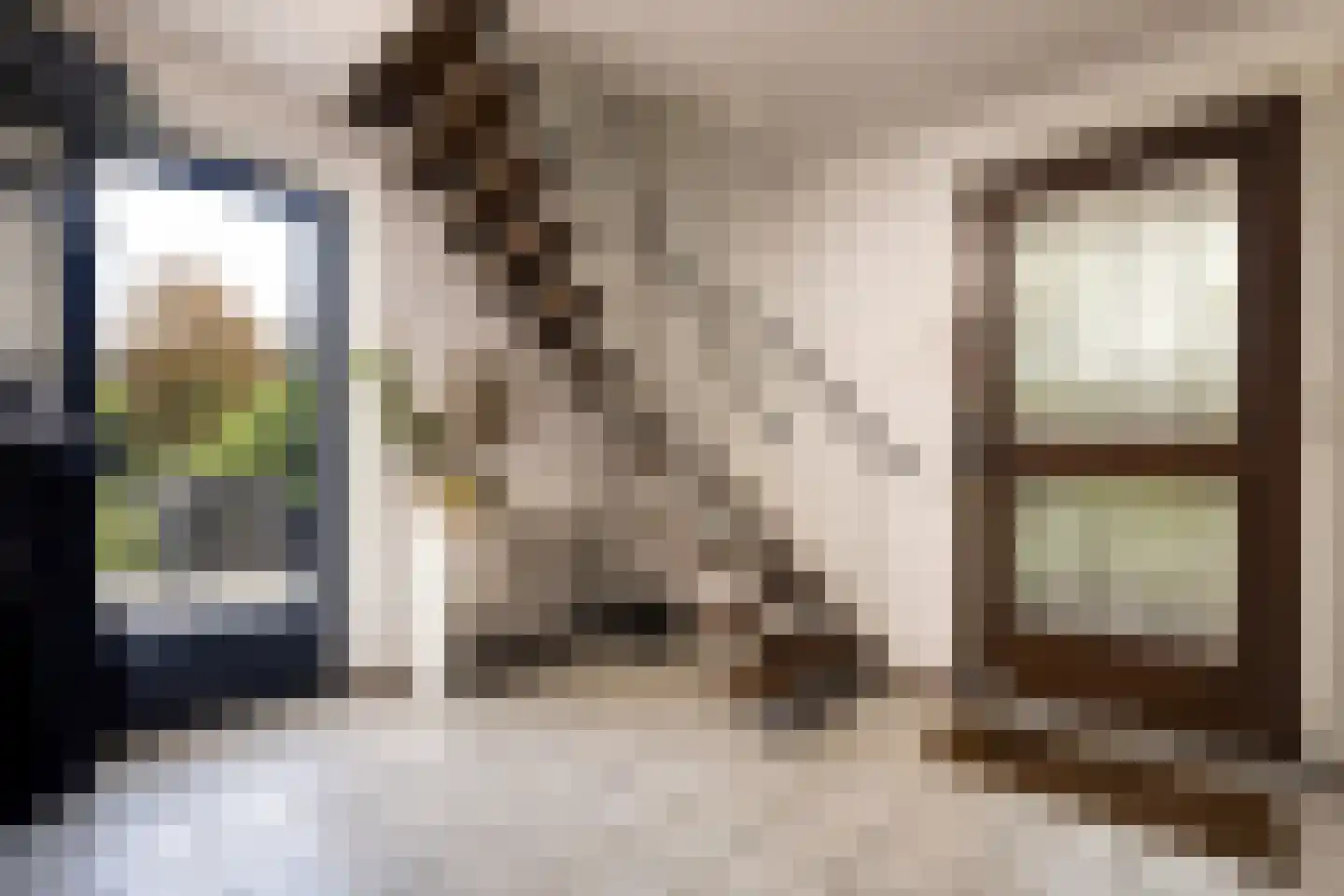 Boerhaavelaan 8 Helmond thumbnail 8