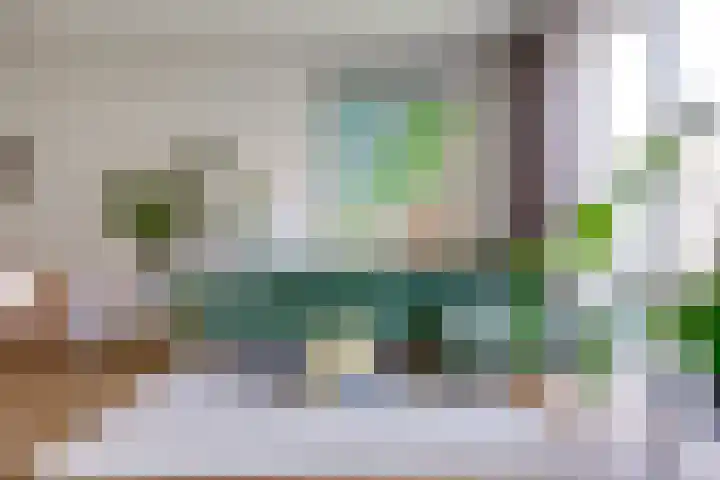Boerhaavelaan 81 Utrecht thumbnail 11