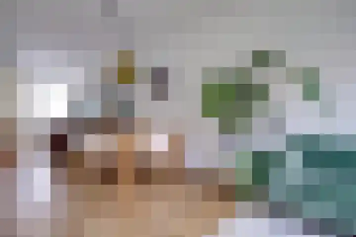 Boerhaavelaan 81 Utrecht thumbnail 12