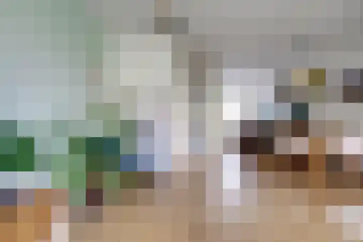 Boerhaavelaan 81 Utrecht thumbnail 13