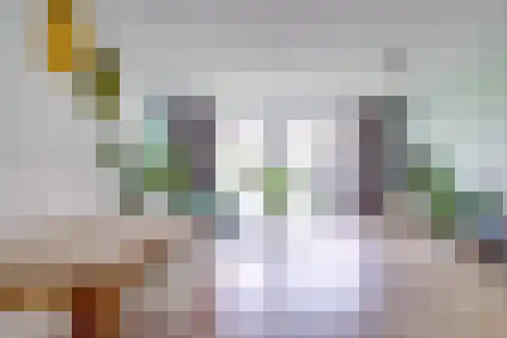 Boerhaavelaan 81 Utrecht thumbnail 16