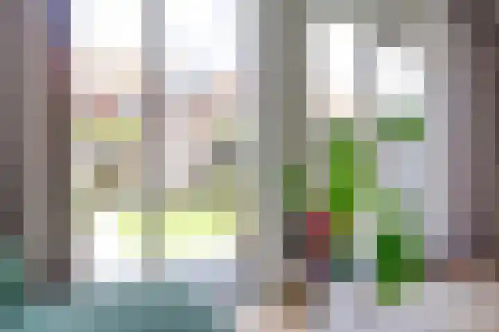 Boerhaavelaan 81 Utrecht thumbnail 18