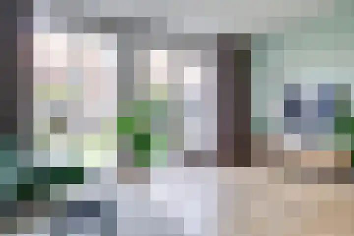 Boerhaavelaan 81 Utrecht thumbnail 19