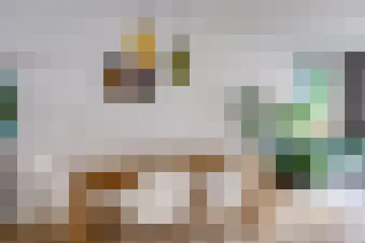 Boerhaavelaan 81 Utrecht thumbnail 20