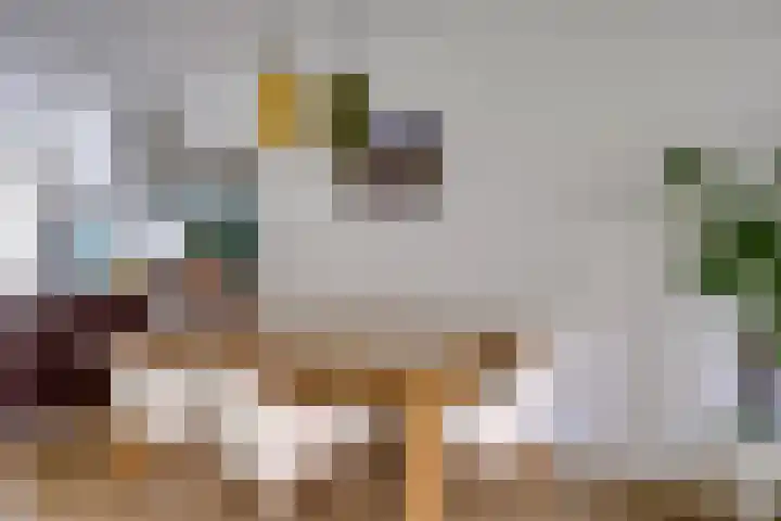 Boerhaavelaan 81 Utrecht thumbnail 21