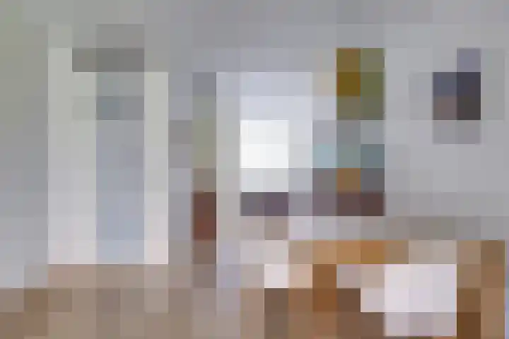 Boerhaavelaan 81 Utrecht thumbnail 22